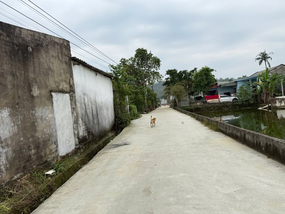 Đất thổ cư Quảng Trường 362m² giá chỉ 800 triệu - Mặt tiền rộng thoáng