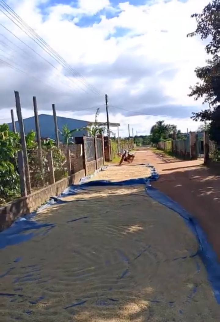 Đất ở Biển Hồ Pleiku 350m² giá thỏa thuận - Cần bán gấp!