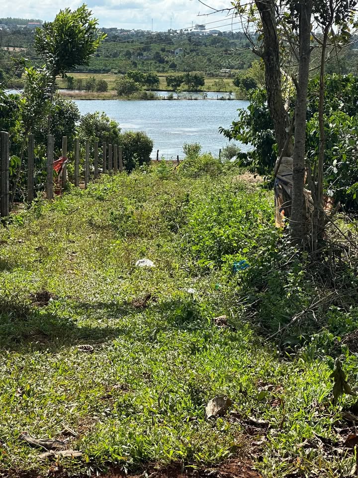 Đất nền 2500m² Nghĩa Hưng, Chư Păh giá 1 tỷ - Đầu tư sinh lời hấp dẫn!