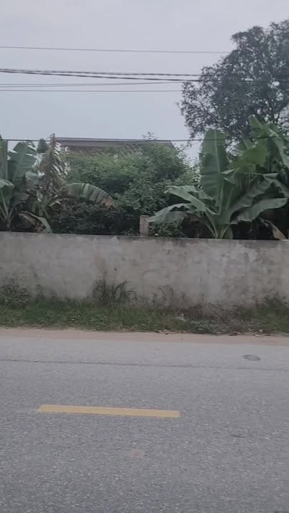 Lô biệt thự Giao Thủy 200m² mặt tiền 13m - Vị trí trung tâm, giá thỏa thuận!