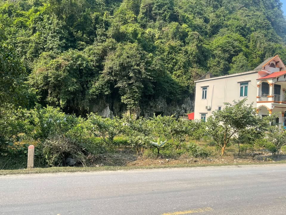 Đất thổ cư 300m² Đồng Tâm, Lạc Thủy - Giao thông thuận tiện, đầu tư sinh lời!