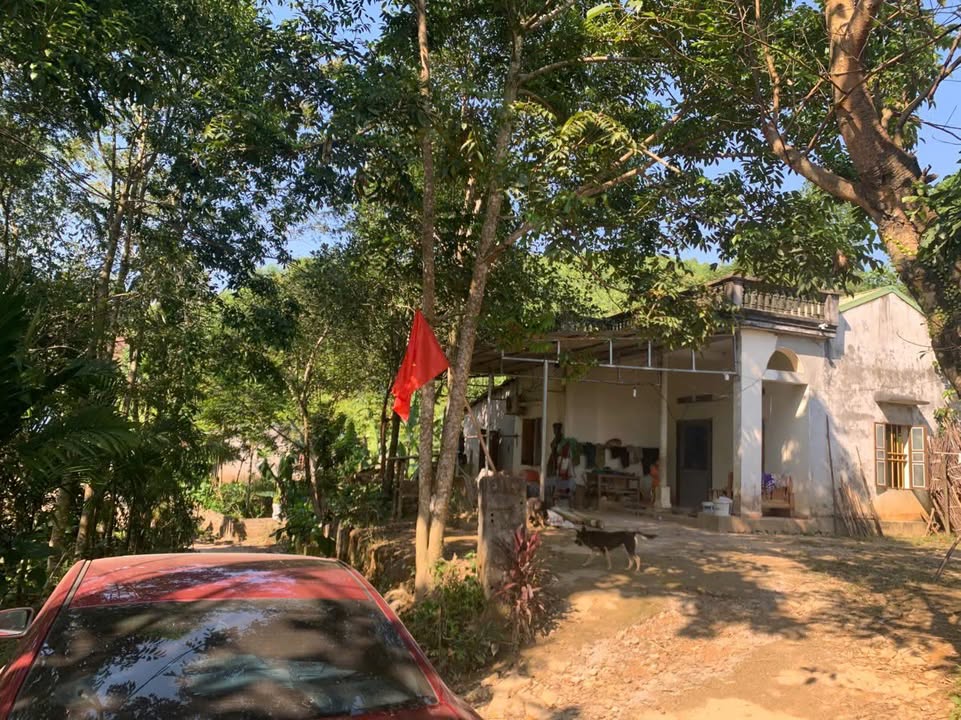 Đất nền nghỉ dưỡng Toàn Thắng 526m² giá 450 triệu - Cơ hội đầu tư hiếm có!