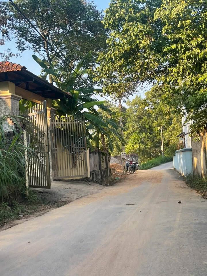 Đất thổ cư 110m² tại Đồng Tĩnh, Tam Dương - Giá bán nhanh chỉ 5xx triệu!