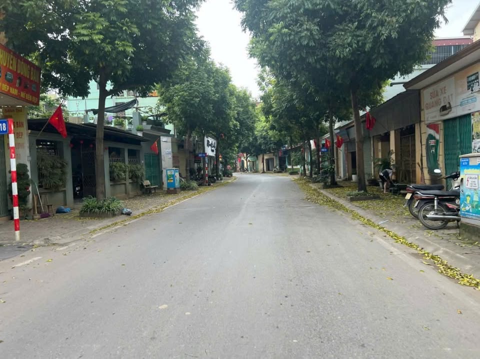 Đất kinh doanh 80m² thôn Đào Xuyên, Gia Lâm - Giá 12 tỷ, hướng Đông