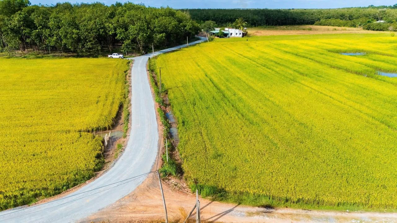 Đất nền Tân Phong, Tân Biên 214m² giá 199 triệu - Đầu tư sinh lời ngay!