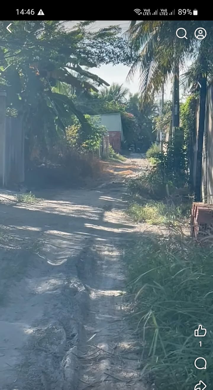 Đất nền 3000m² phường Long Hoa, Hòa Thành, Tây Ninh giá chỉ 1.2 tỷ - Cơ hội đầu tư không thể bỏ lỡ!