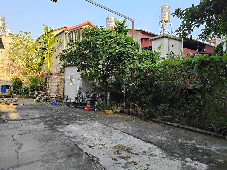 Đất nền Tổ 5 Tô Hiệu 600m² giá 3 tỷ - Hàng hiếm đầu tư sinh lời!