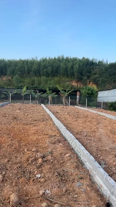 Đất nền đẹp tại Phường Thành Công, Quận Phổ Yên, 125m² giá 500 triệu - Cơ hội đầu tư tuyệt vời!