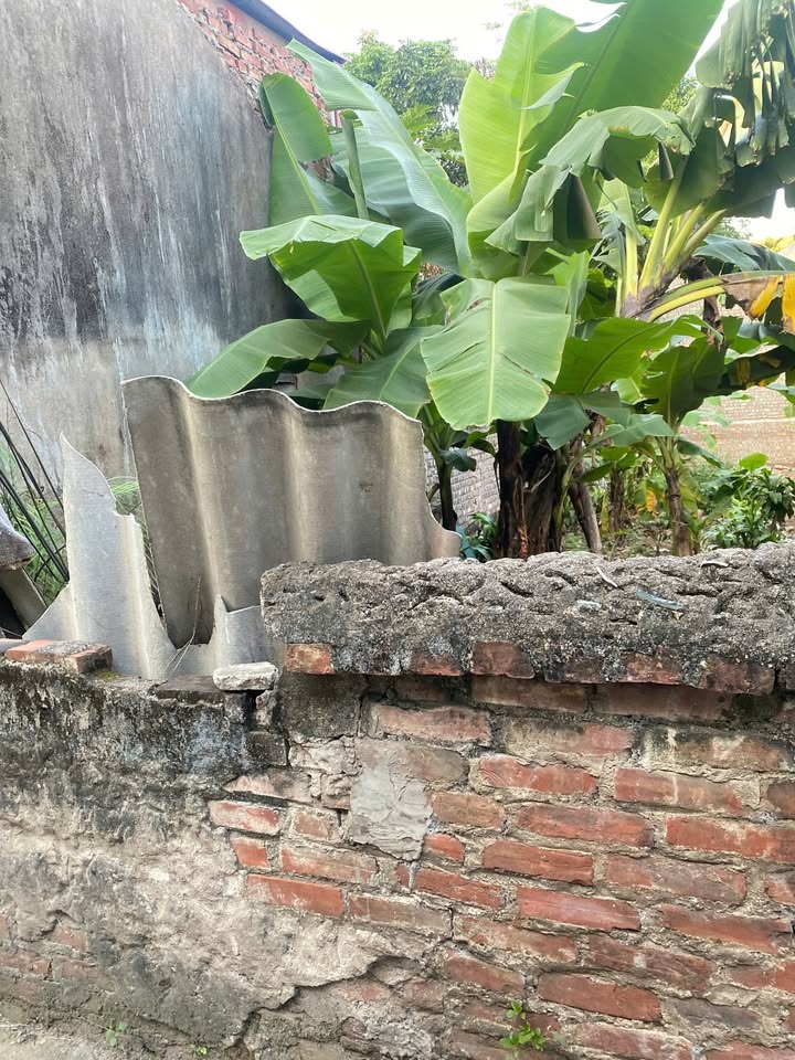 Đất nền Dương Hà, Gia Lâm 50m² giá 4 tỷ - Gần chợ, sổ đỏ chính chủ!