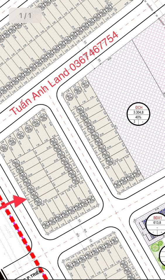 Đất đấu giá tại xã Tống Trân, huyện Phù Cừ, 100m² - Cơ hội đầu tư sinh lời ngay!