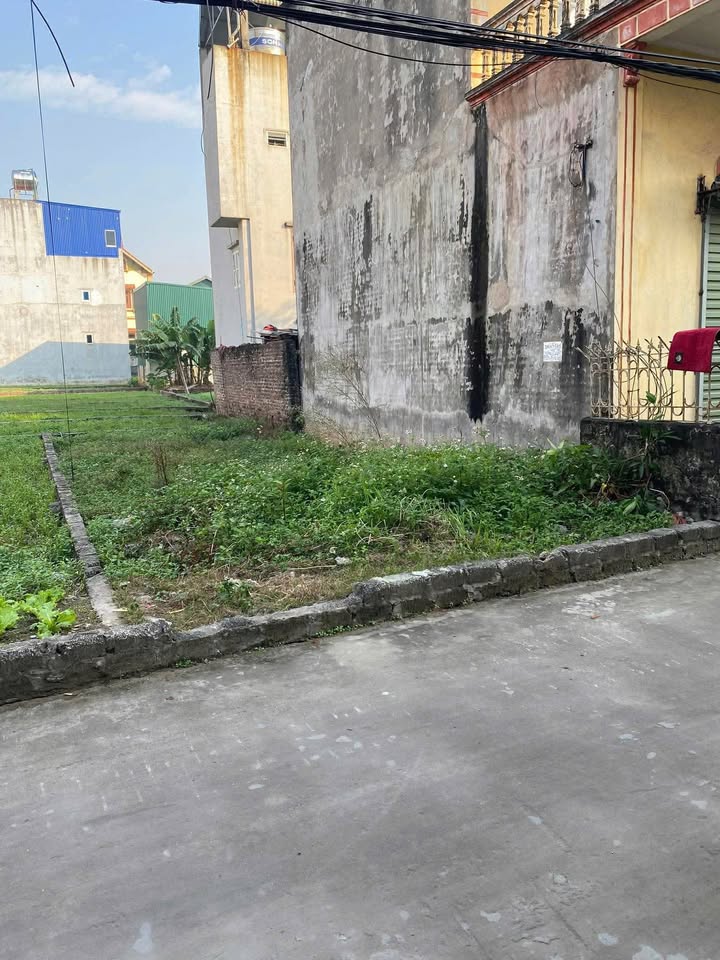 Lô đất đẹp Thư Phú, Thường Tín 63m² giá chỉ 60 triệu - Đầu tư sinh lời ngay!