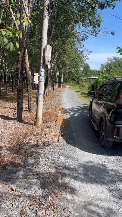 Đất thổ cư Hiệp Thạnh Gò Dầu 175m² giá 420 triệu - Bán gấp cho người cần!