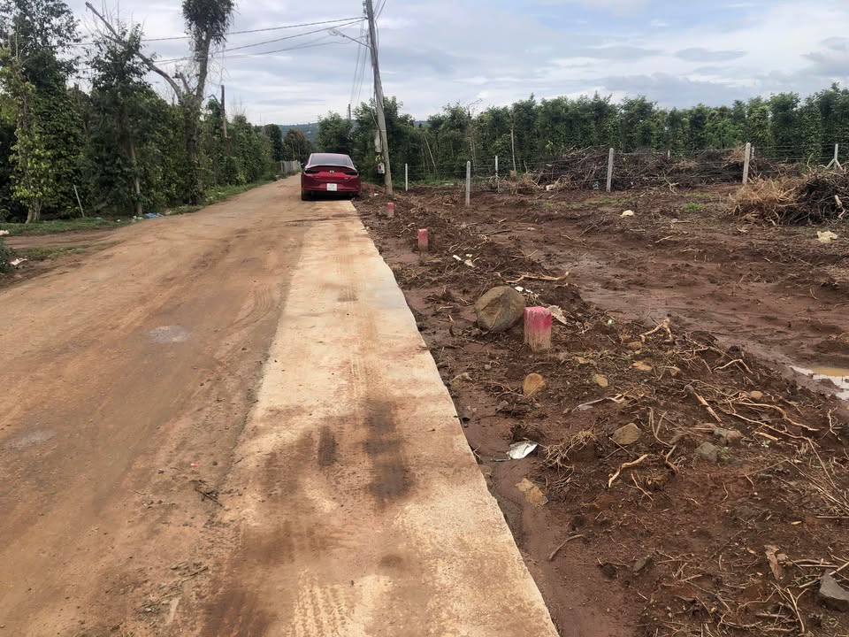 Đất nền Tân Văn 1,4 sào giá 650 triệu - Đầu tư sinh lời ngay!