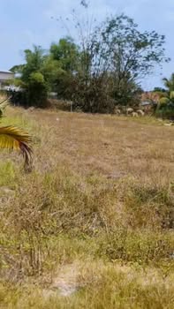 Đất nông nghiệp Hậu Nghĩa 1000m² giá 2.45 tỷ - Đầu tư lý tưởng cho nhà vườn!