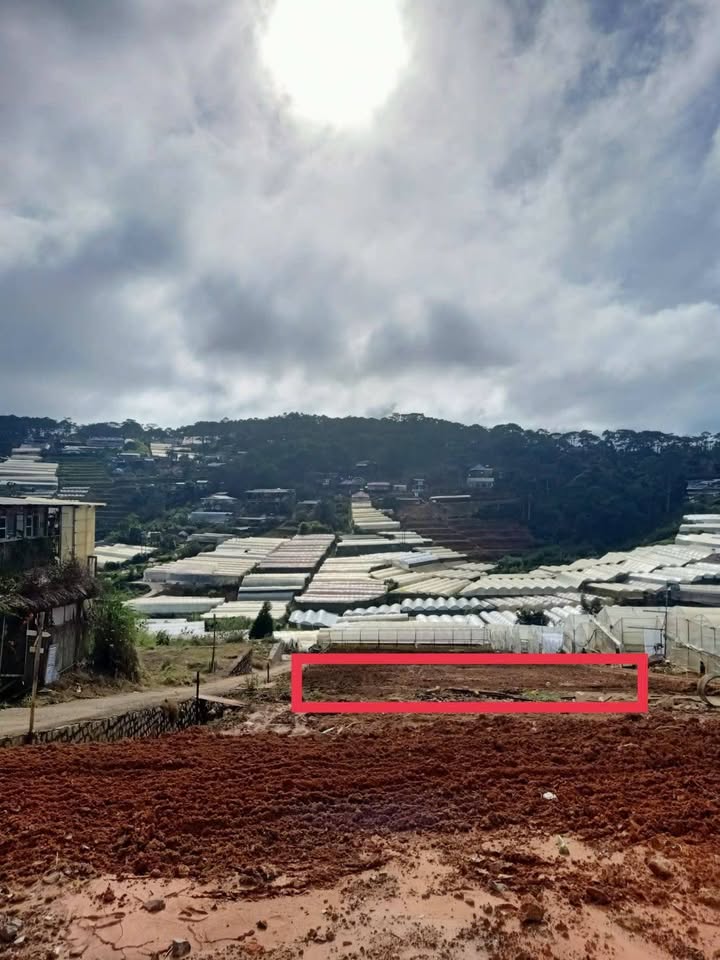 Đất 2 mặt tiền Trịnh Hoài Đức, Đà Lạt 223m² giá 7.5 tỷ - Tiềm năng đầu tư lớn!