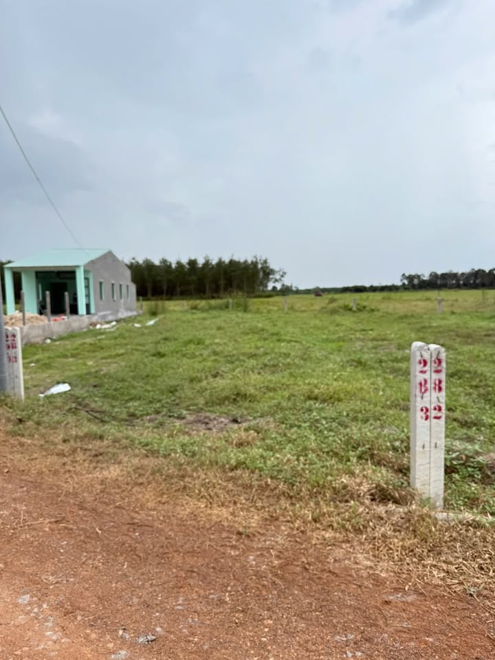 Đất nền Phước Ninh, Dương Minh Châu 150m² chỉ 280 triệu - Đầu tư sinh lời ngay!