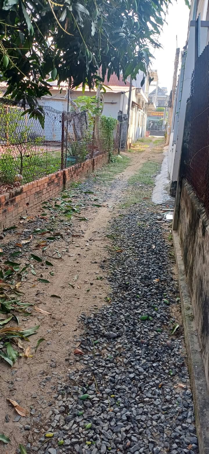 Nhà cấp 4 Hiệp Thạnh Tây Ninh 269m² giá chỉ 1.45 tỷ - Chính chủ cần bán gấp!