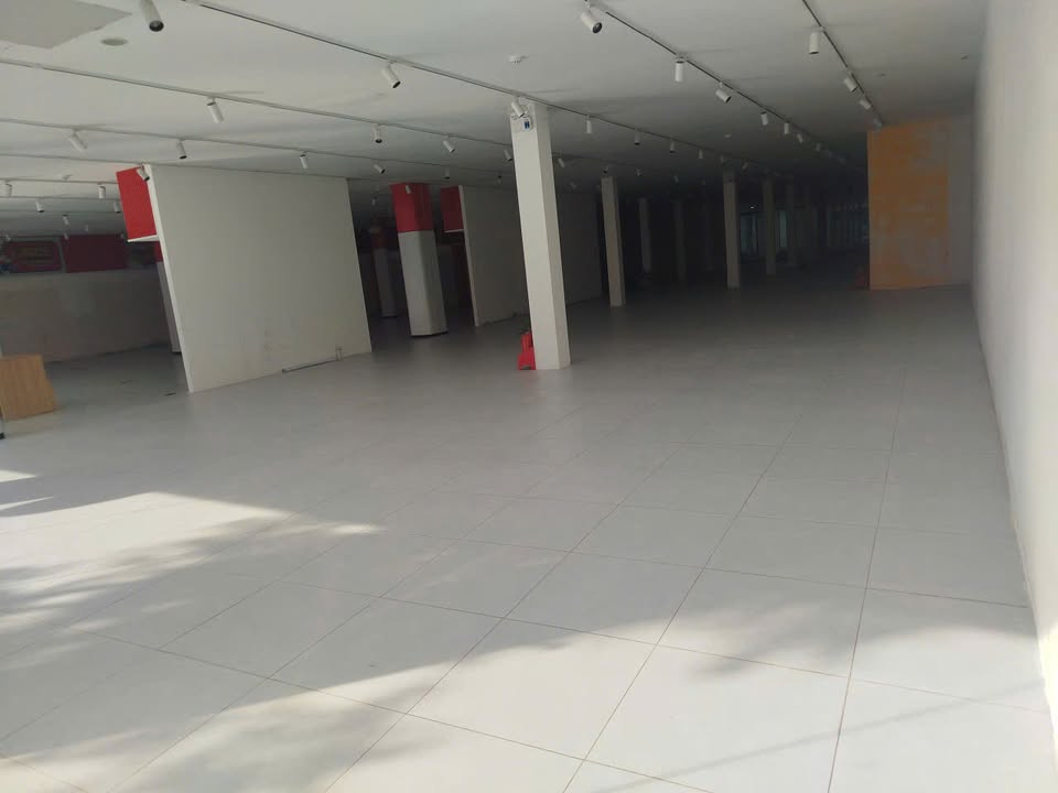 Mặt bằng kinh doanh cho thuê đường Quang Trung, Gò Vấp 1240m² - Địa điểm lý tưởng cho mọi ngành nghề!