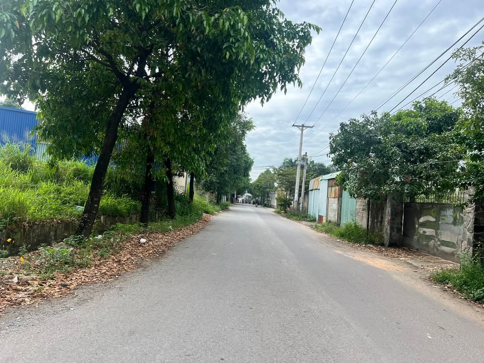 Đất thổ cư Trảng Dài Biên Hòa 76m² giá 1.65 tỷ - Đầu tư sinh lời ngay!