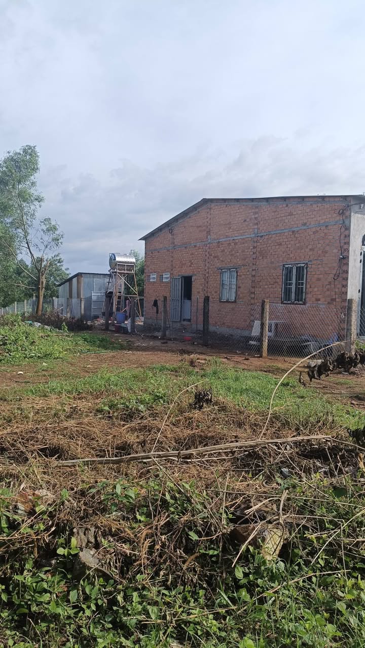 Đất nền Phú Hòa Định Quán 1100m² giá 520 triệu - Cơ hội đầu tư hấp dẫn!