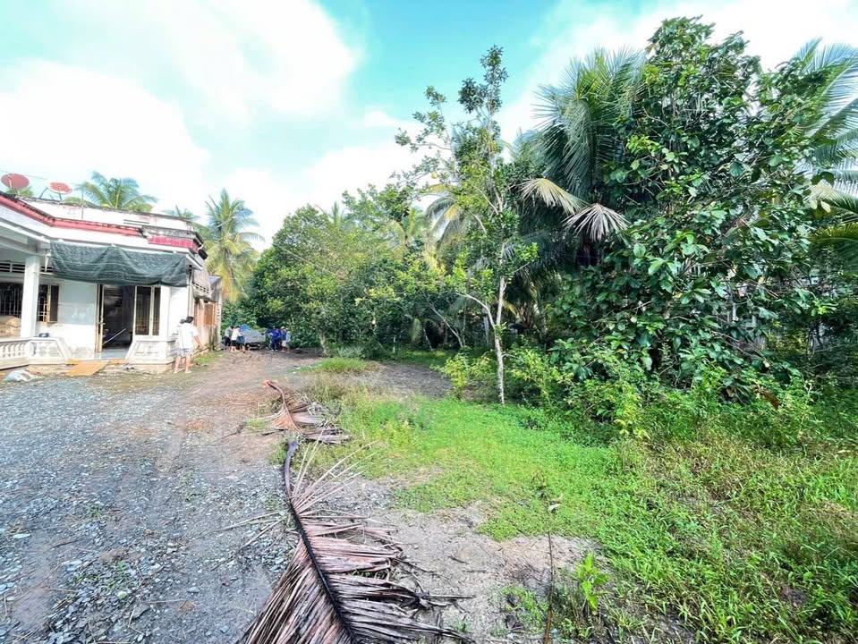 Đất nền Tân Long Hội 903m² giá 1.1 tỷ - Đầu tư sinh lời hấp dẫn!