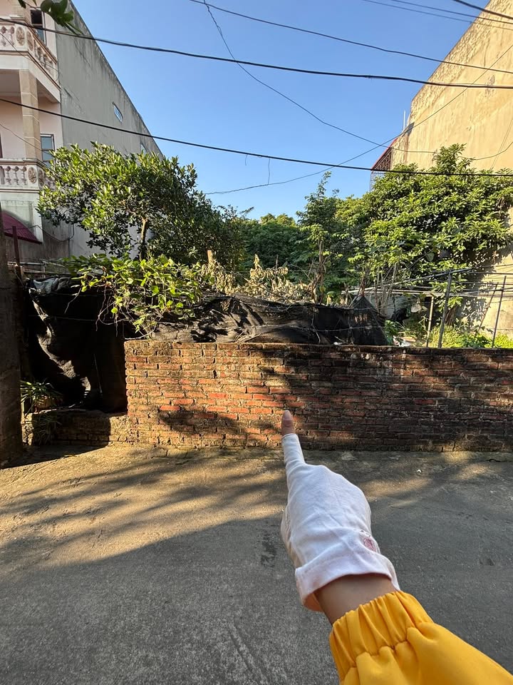 Đất thổ cư 122m² tại Sóc Sơn, Hà Nội - Tiềm năng đầu tư tuyệt vời!