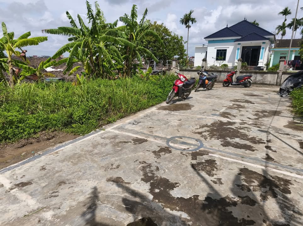 Đất nền Hòa Nghĩa Dương Kinh 69.5m² chỉ 1 tỷ - Đường ô tô vào tận nơi!