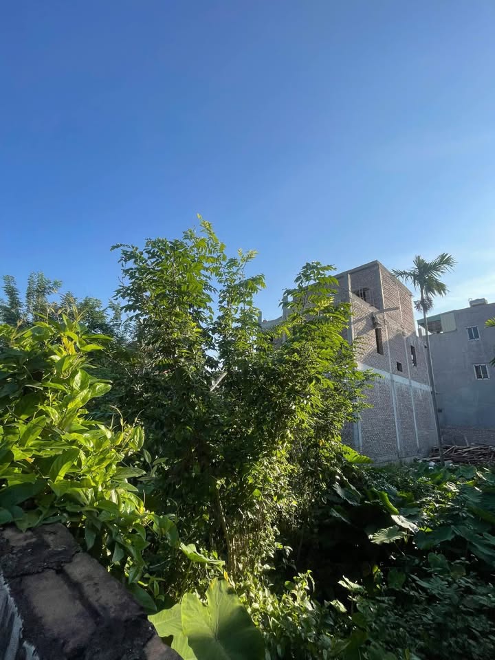 Đất nền Bạch Mai, An Hải 81m² giá 2.43 tỷ - Chính chủ bán gấp!