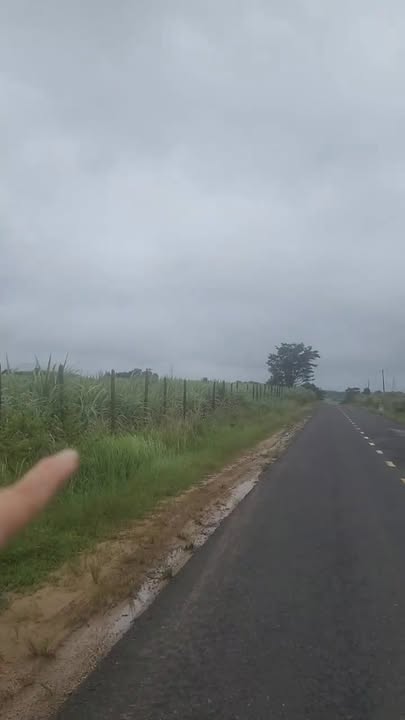 Đất mặt đường Quốc lộ 29, xã Ea Sô, 3900m² giá 3.9 tỷ - Đầu tư sinh lời ngay!