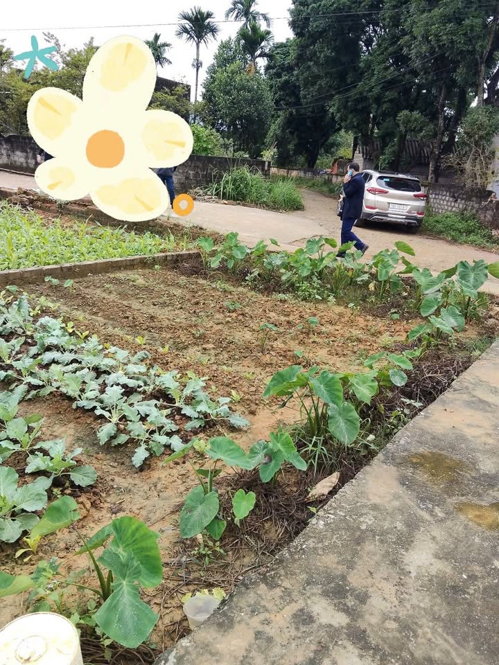 Đất nền lô góc 112m² tại Đồng Trung, Thanh Thủy - Giá đầu tư hấp dẫn 800 triệu