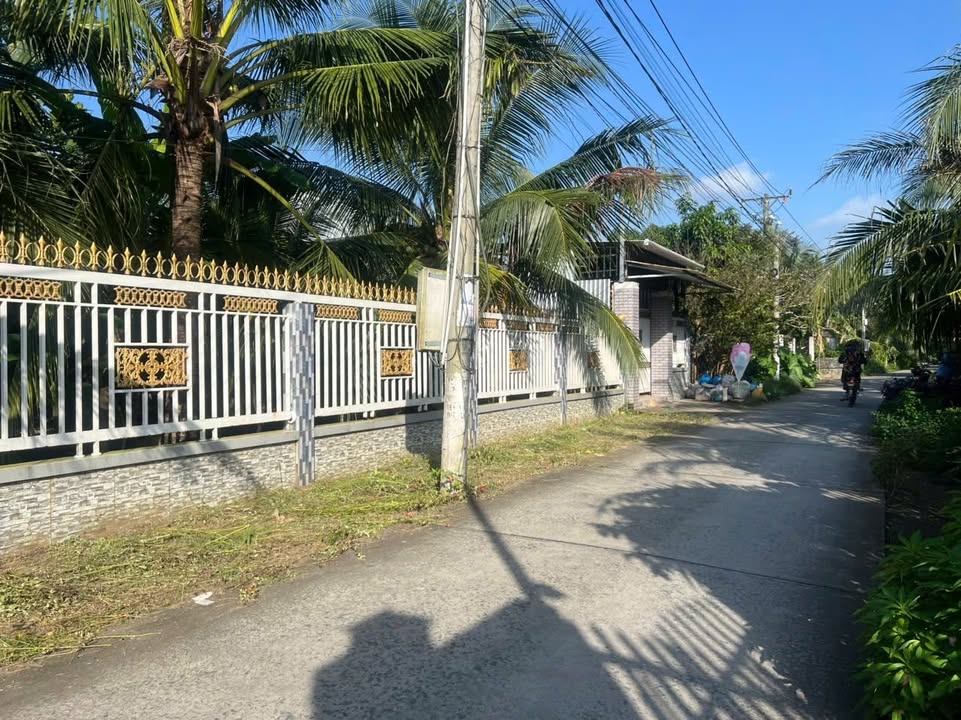 Đất mặt tiền xã Hữu Định 300m² giá 950 triệu - Cơ hội đầu tư tuyệt vời!