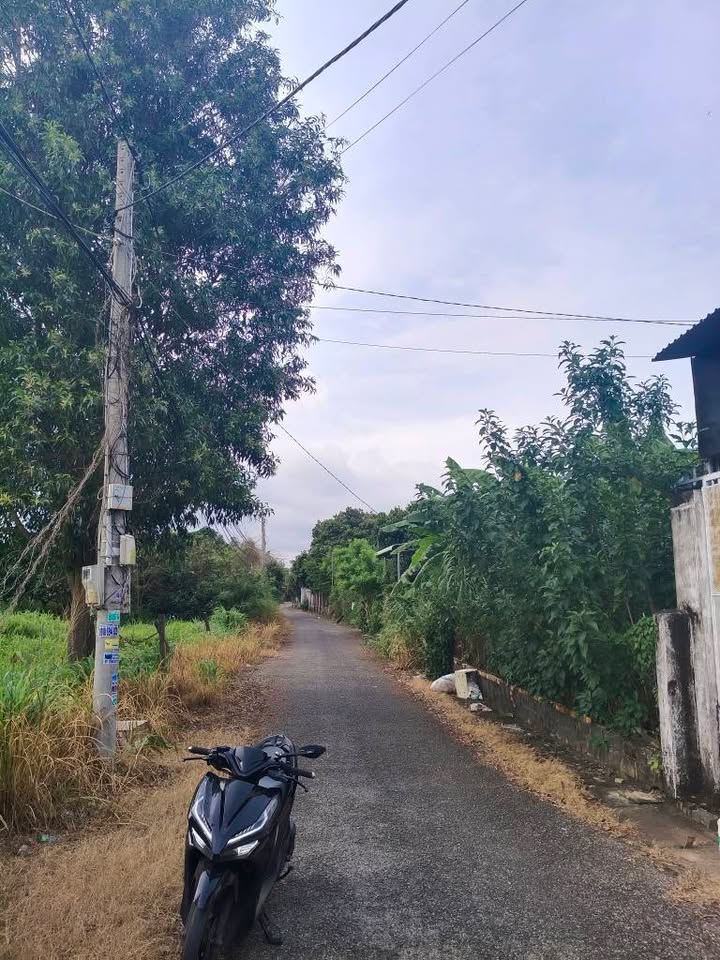 Nhà bán tại thị trấn Phước Bửu, 475m² giá 3.3 tỷ - Nở hậu 10m, vị trí đẹp!