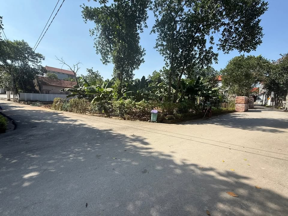 Đất nền Nguyệt Đức, Yên Lạc 105m² giá 1 tỷ - Cơ hội đầu tư không thể bỏ lỡ!