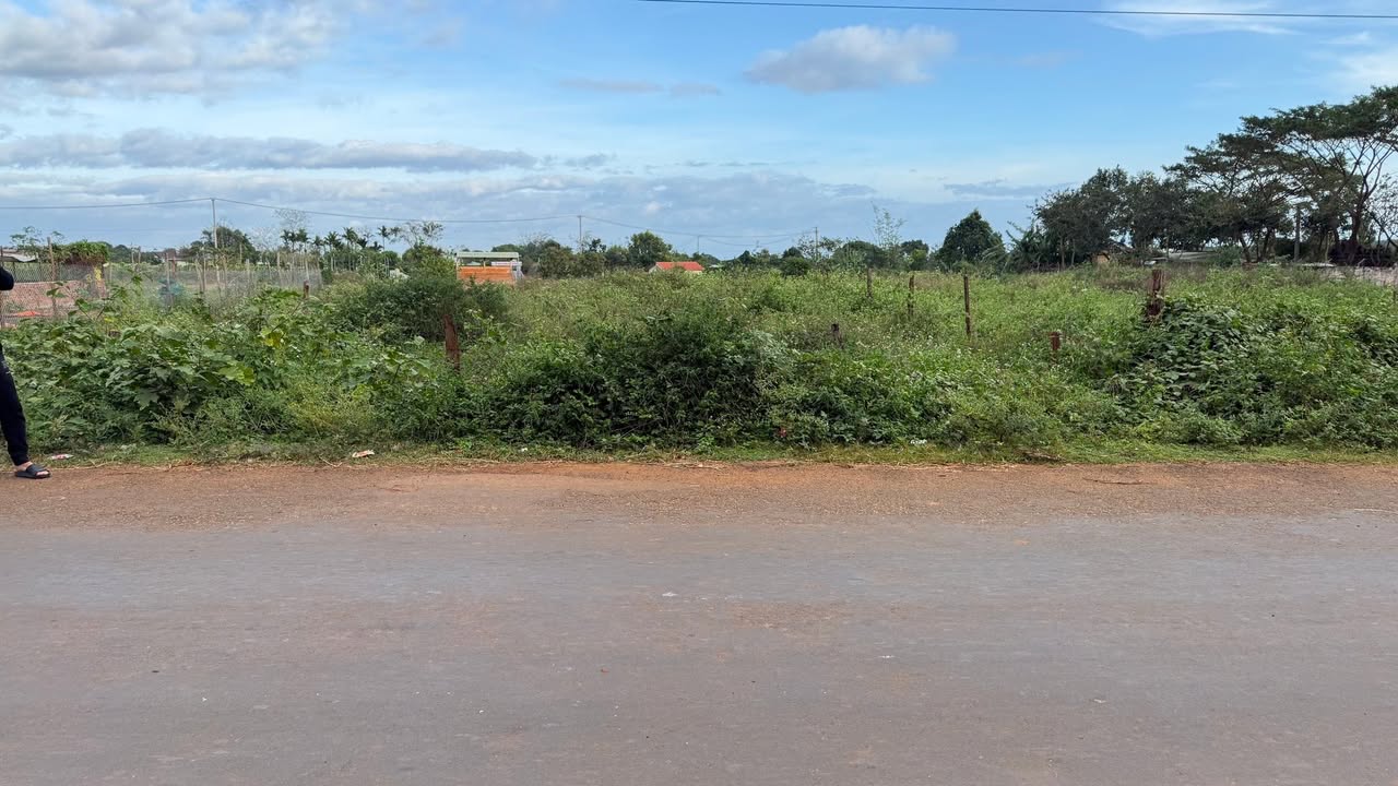 Đất nền mặt tiền đường Liên xã Ia HLốp 300m² giá chỉ 2.15 tỷ - Cơ hội tuyệt vời cho nhà đầu tư!