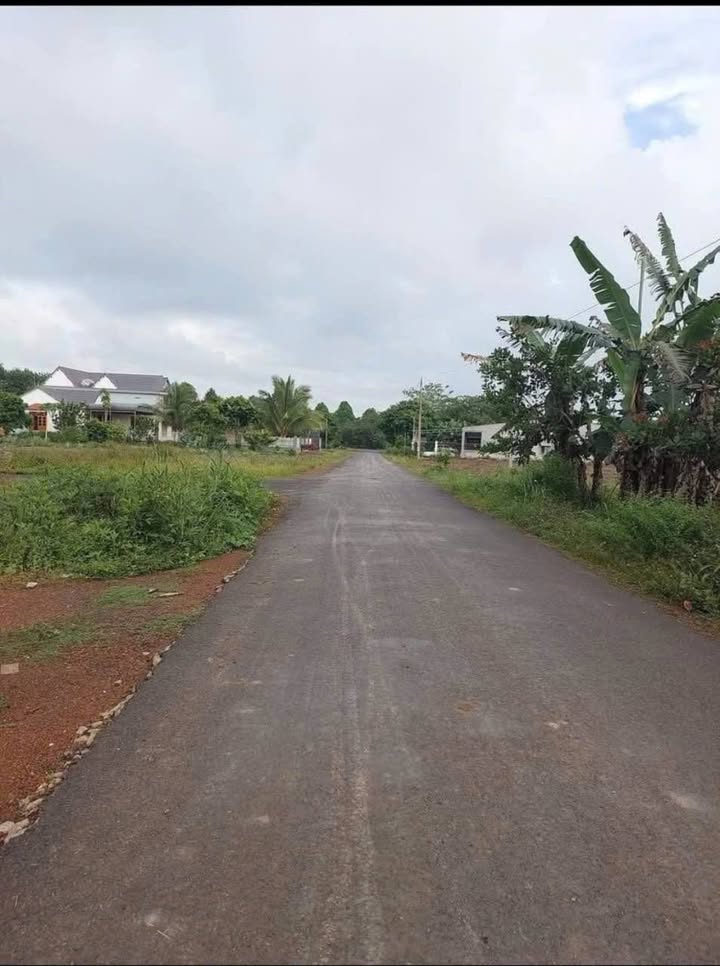 Đất nền 1000m² mặt tiền đường DH Tân Lợi giá chỉ 6xx triệu - Cơ hội đầu tư tuyệt vời!