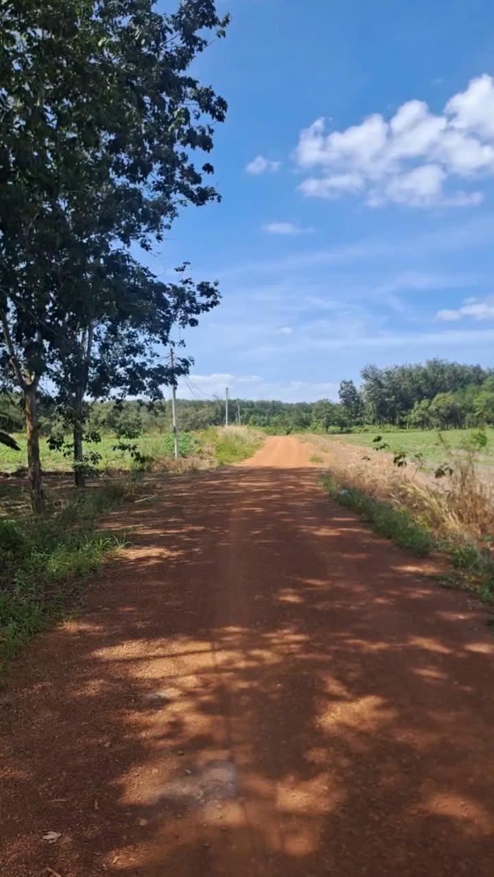 Đất nền mặt tiền đường Tân Tiến, Đồng Phú 245m² chỉ 200 triệu - Cơ hội đầu tư tuyệt vời!