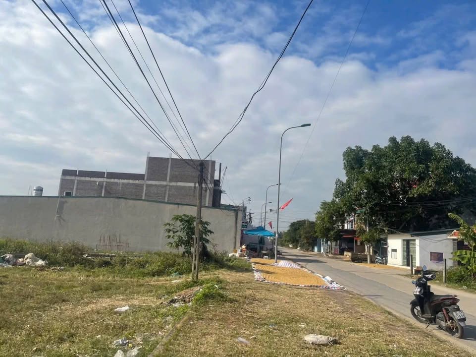 Đất kinh doanh mặt tiền đường Đại Tân 125m² giá chỉ 2 tỷ - Cơ hội vàng cho nhà đầu tư!