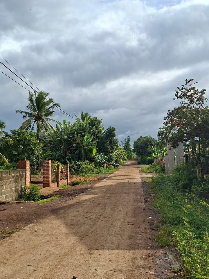 Đất nền Km 42 xã Ea Phê 8400m² - Đầu tư sinh lời tiềm năng!