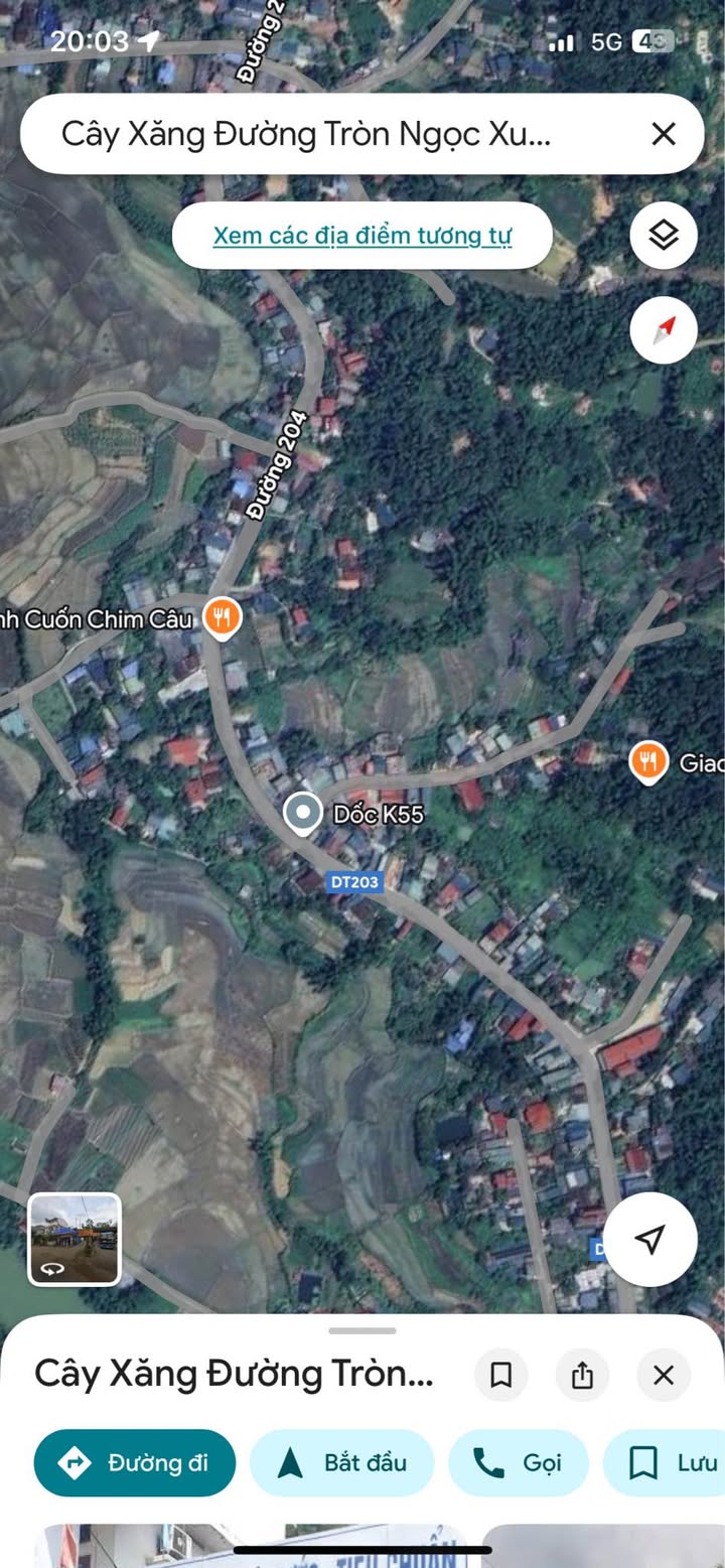 Đất nền chính chủ đường Ngọc Xuân 1500m² giá chỉ 2.05 tỷ - Sẵn sàng xây dựng!