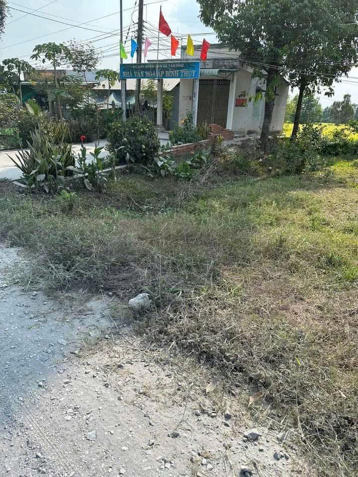 Đất thổ cư 195m² tại Tân Phú, Đức Hòa - Giá chỉ 1,5 tỷ - Sổ đỏ chính chủ!