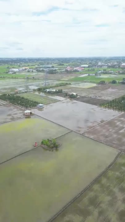 Đất nền Bình Lãng, Tân Trụ, Long An 110m² giá chỉ 420 triệu - Đầu tư sinh lời ngay!