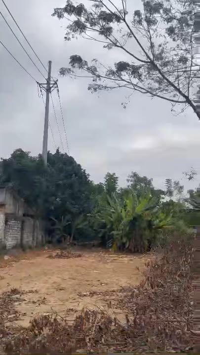 Đất nền Sơn Đông, Sơn Tây 336m² giá 3.36 tỷ - Cơ hội đầu tư tuyệt vời!