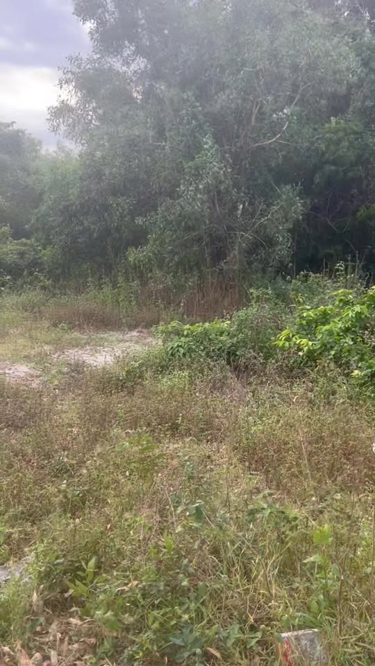 Bán đất hẻm đường Nguyễn Du, phường Phước Hội, 360m² - Đầu tư gần biển Cam Bình!