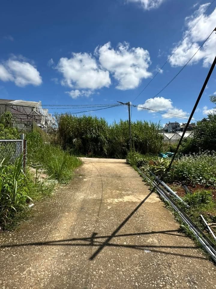 Đất nền đường Mai Anh Đào, Đà Lạt 90m² giá 1.4 tỷ - Đường ô tô vào tận nơi!