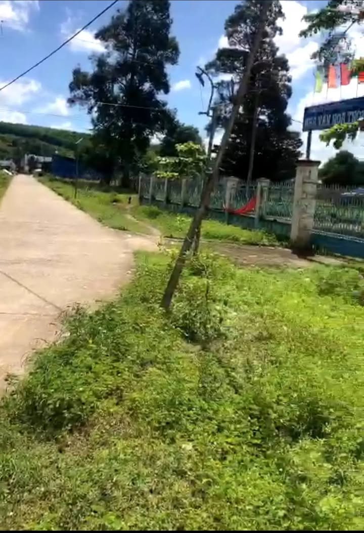 Đất Farm 4 Sào Tân Quang Hàm Tân giá 3.7 tỷ - Đầu tư lâu dài!