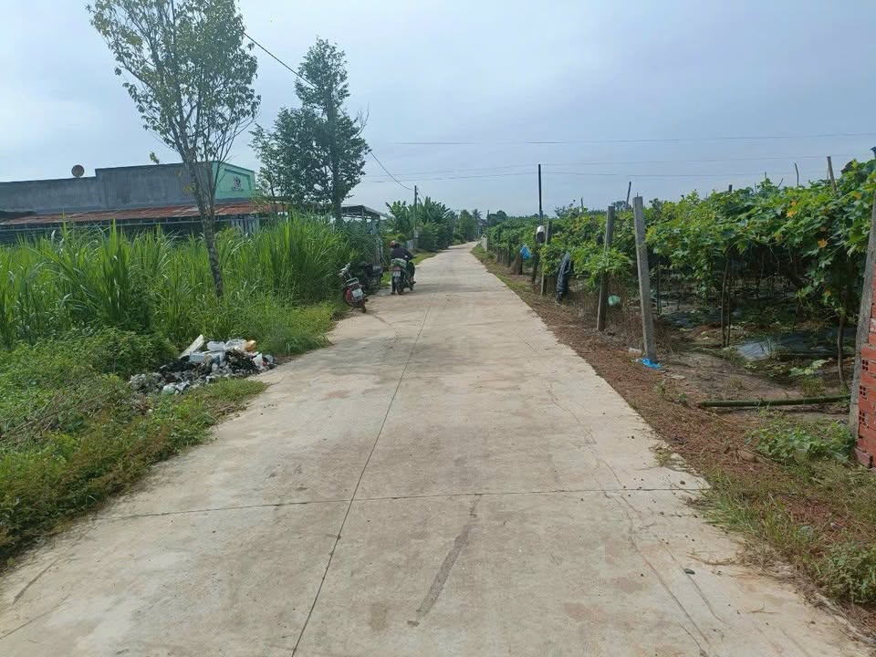 Đất thổ cư 300m² tại Khu phố 2, Thị trấn Châu Thành, Tây Ninh - Giá chỉ 690 triệu!