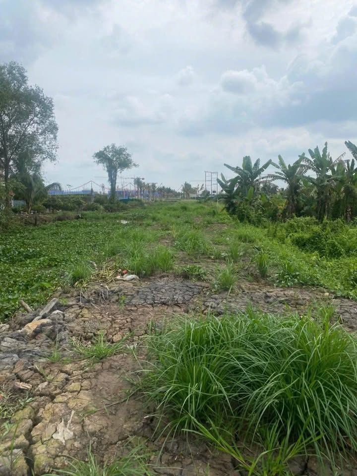 Đất vườn mặt tiền kênh lớn LA HOME Lương Hòa 6733m² giá 13.5 tỷ - Đầu tư sinh lời cao!