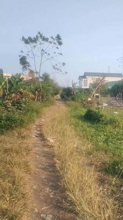 Đất nền Quảng Cư, Sầm Sơn 561m² giá 3 tỷ - Đầu tư sinh lời ngay!