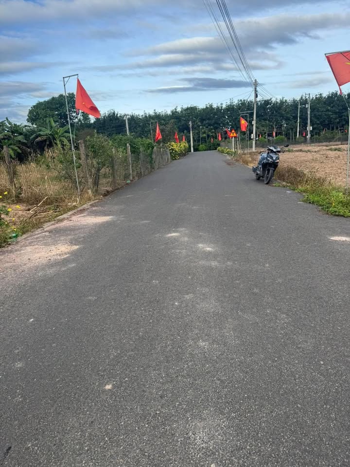 Đất nền 1500m² tại An Linh, Phú Giáo chỉ 1.3 tỷ - Sổ đỏ chính chủ, thích hợp xây nhà vườn!