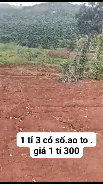 Đất nền Đắk Buk So, Tuy Đức 14.340m² giá 1.3 tỷ - Sổ đỏ chính chủ, mặt tiền 35m